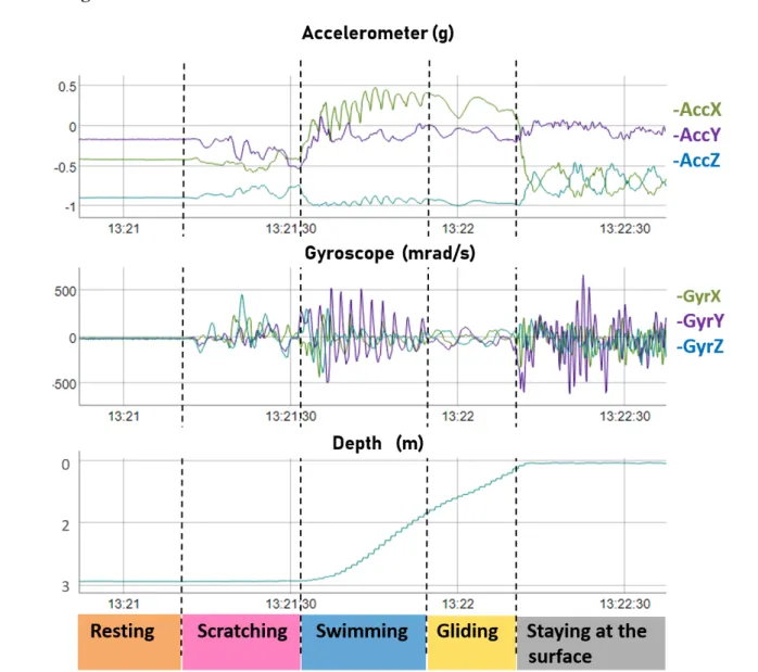 Figure  1.  Raw  acceleration,  gyroscope  and  depth  profiles  for  several  behaviours 709 
