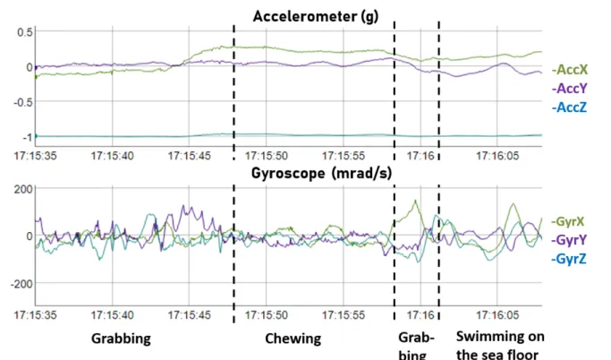 Figure 2: Raw acceleration and gyroscope signals obtained for the feeding behaviours 713 