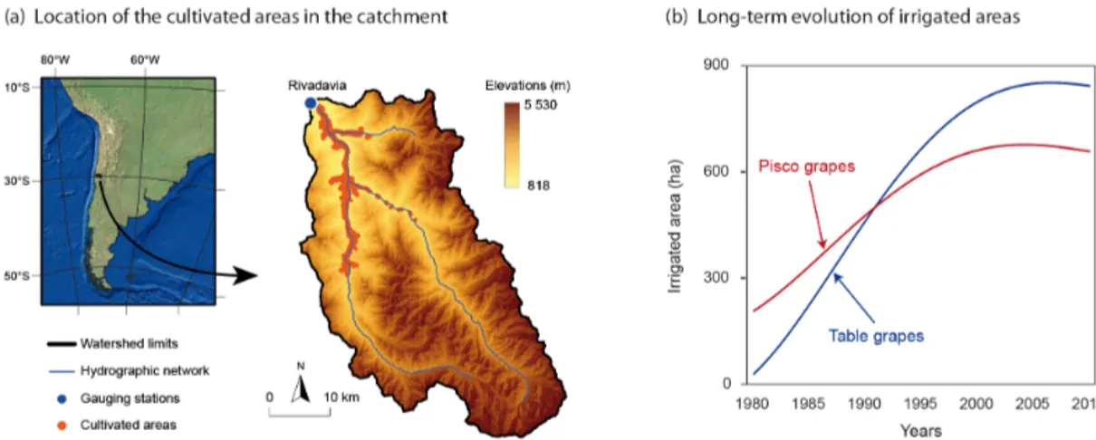 Figure 1. The Claro River catchment in Chile: (a) location of the cultivated areas in the valley floors, and (b) long term evolution of irrigated areas as estimated from national cadastral surveys conducted from 1980 to 2010 for two main varieties cultivat