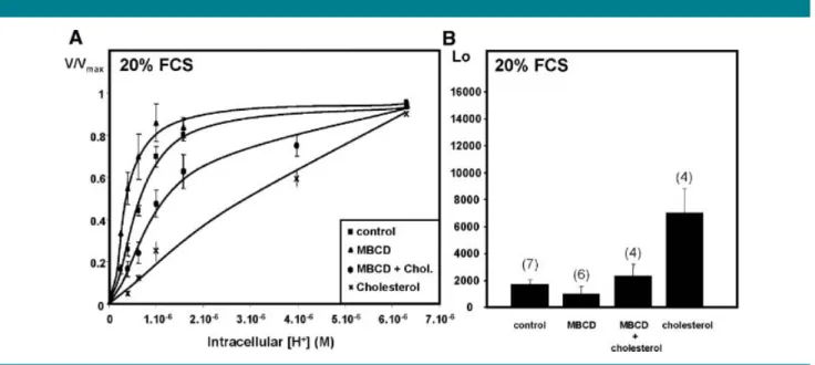Fig. 5. Modulation of NHE-1 activity by cholesterol in the presence of growth factors