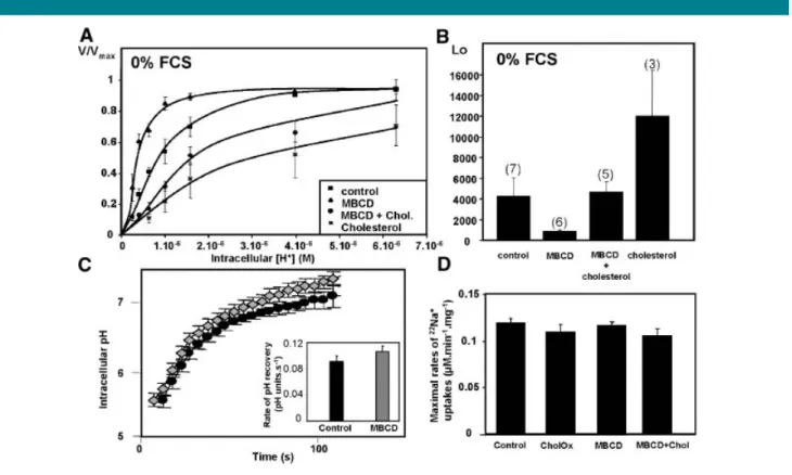 Fig. 1. Modulation of NHE-1 activity by cholesterol in the absence of growth factors. A: PS120-NHE-1 cells were seeded in 24-well plates and maintained in 0% FCS during 16–18 h prior to acidifications at different intracellular pH values using the nigerici