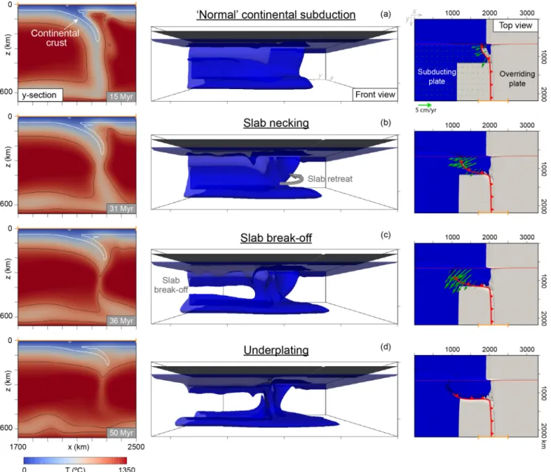 Fig. 2. Evolution of the reference model with a ﬁrst phase of continental subduction (a), followed by slab necking (b) and break-off (c), and, ﬁnally, the continental lithosphere rises back towards the surface and ﬂattens below the overriding plate (underp