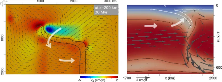 Fig. 3. Mantle ﬂow of the reference model. (a) Mantle ﬂow in a horizontal section at a depth of 200 km