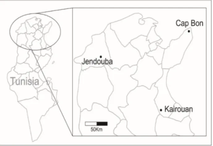 Figure 1. Localities in Tunisia sampled for M. persicae. Peach orchards and potato crops located in  Jendouba, Cap Bon and Kairouan were monitored from 2011 to 2016