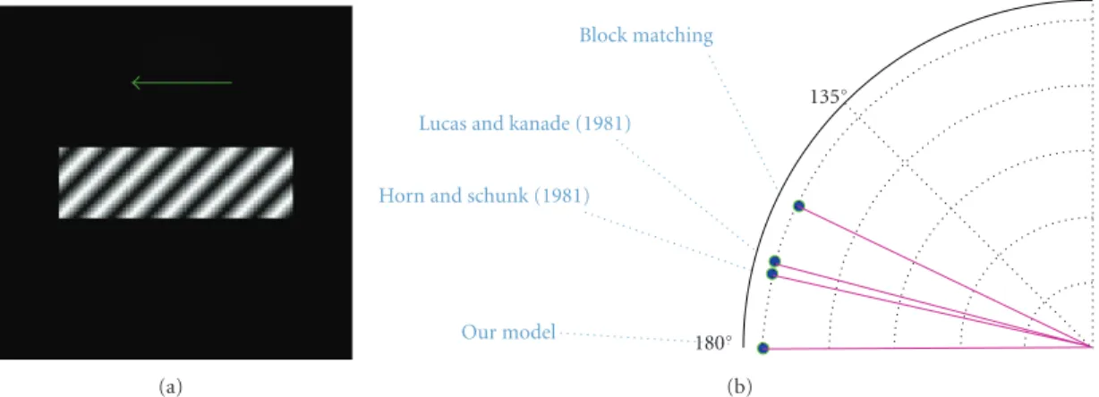 Figure 8: The biologically motivated mechanisms for motion processing demonstrate their capability to process test data used in perceptual experiments