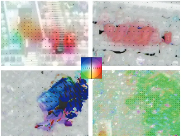 Figure 10: Optical flow has been estimated using the proposed neural architecture to process sample image sequences from video surveillance scenario acquired in a soccer stadium