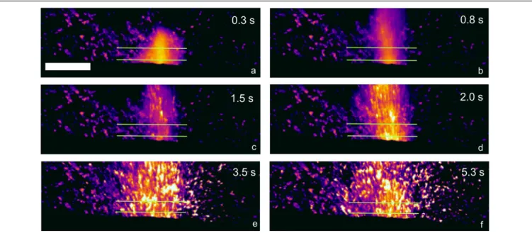 FIGURE 1 | Sequence of thermal images of a type explosion from the SW crater of Stromboli (explosion 1 of Table 1)