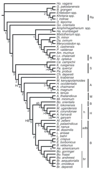 Figure 2 | Phylogenetic relationships of hippopotamoid. Consensus tree of the cladistic analysis obtained from the two most parsimonious trees (980 steps, CI ¼ 0.22, RI ¼ 0.61)