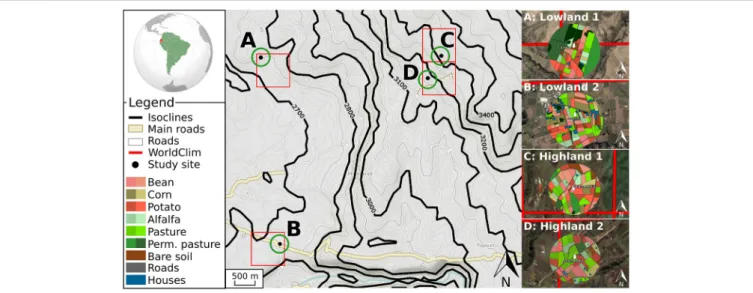 FIGURE 1 | Schematic representation of the three temperature datasets. The global dataset is shown through red lines defining squares of 0.86 km 2 corresponding to the WorldClim database
