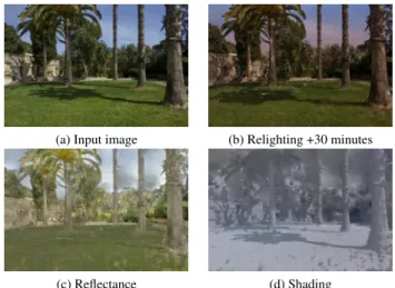 Fig. 1: Our algorithm enables relighting with moving cast shadows from multi-view datasets (a,b)