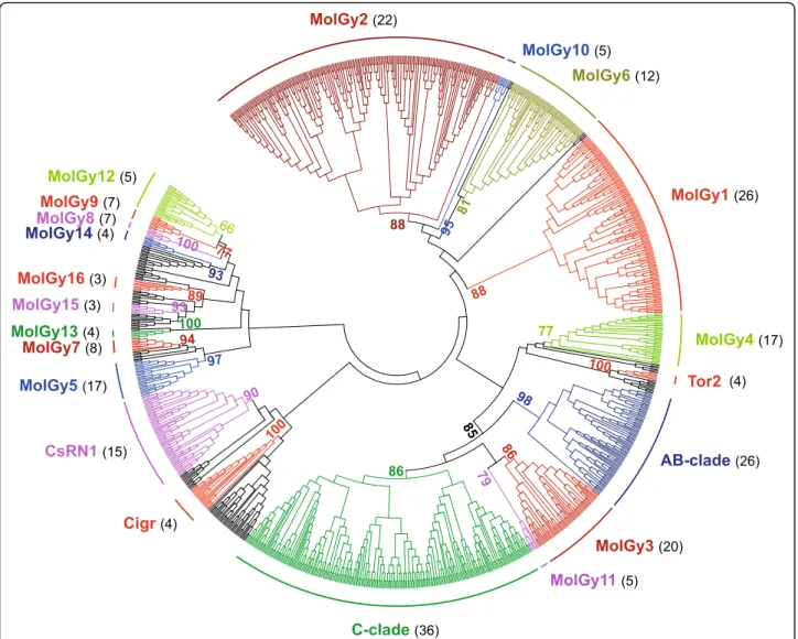 Fig. 5 Phylogenetic relationships of Gypsy retrotransposons. The tree is based on Neighbor-Joining analysis of RT/RNaseH domain amino acid sequences