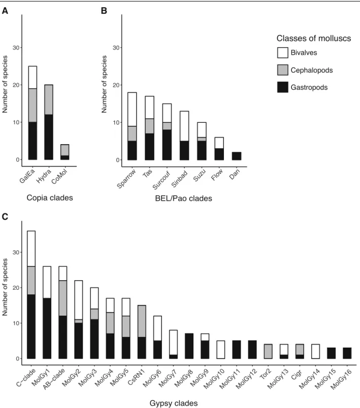 Fig. 6 Distribution of LTR-retrotransposon clades among molluscs. The number of species in which each clade occurs is given for the 3 studied classes of molluscs