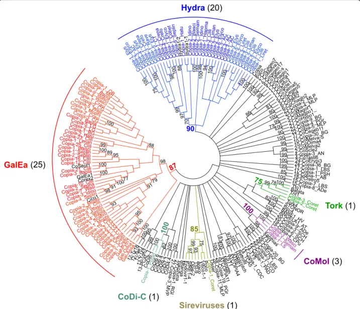 Fig. 3 Phylogenetic relationships of Copia retrotransposons. The tree is based on Neighbor-Joining analysis of RT/RNaseH domain amino acid sequences