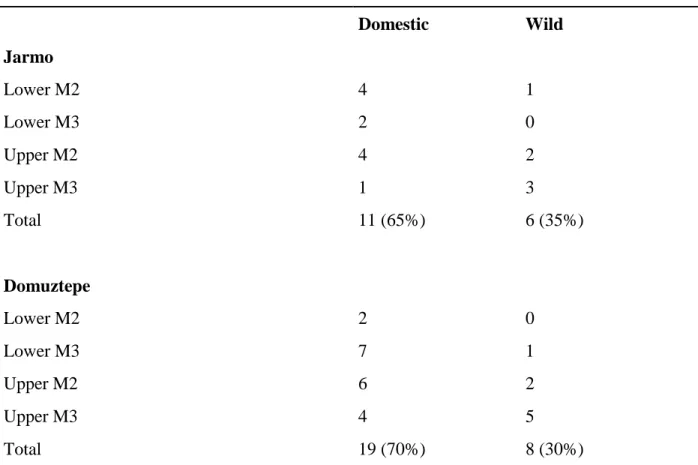 Table 3. Results of expectation-maximization mixture analysis for M1 and M2 anterior breadths  (WA) at Jarmo and Domuztepe