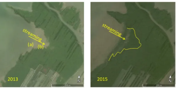 Fig. 26 and further inspection of Google Earth images reveals se- se-dimentary ridges along the Demak coastline, the majority at the 2003  pre-erosion  coastline