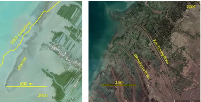 Fig. 26. Example of chenier formation Demak, Indonesia (Google Earth image) by (a) self-organization of eroded coastal sediment and (b) riverine sand input