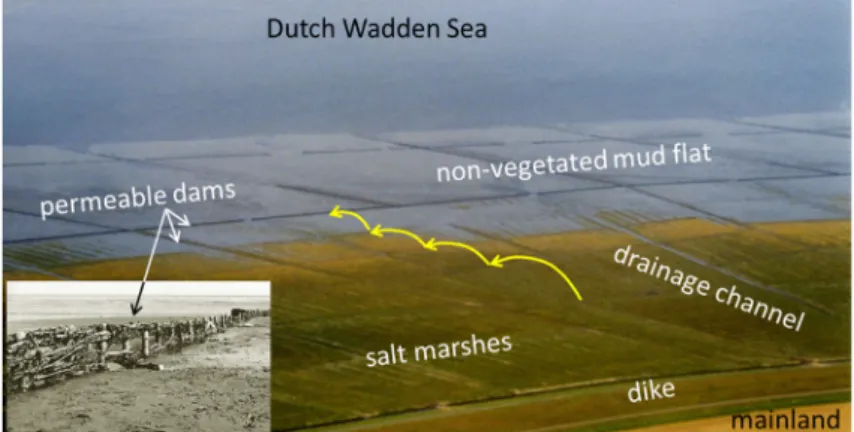 Fig.  2  depicts  the  definitions  used  for  this  BwN-approach  in  this  paper. A permeable dam may have an opening and/or side walls, or not