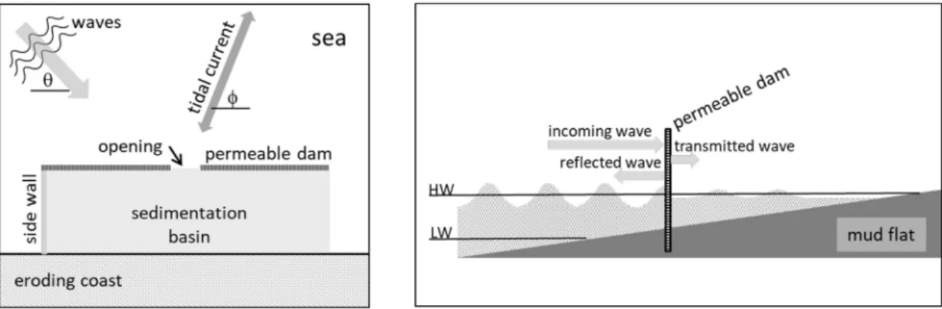 Fig. 3. Mangrove recolonization along the Guyana coast synchronizing with a migrating mudbank (dotted white ellipse)
