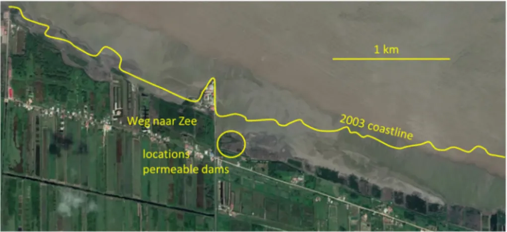 Fig. 11. Permeable dams constructed near Weg naar Zee, north of Paramaribo, Suriname (photos by E