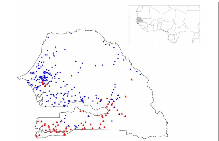FIGURE 1 | Geographic positions of the 367 geo-referenced accessions of pearl millet. Early- and late-flowering landraces are represented by blue circles and red triangles, respectively.