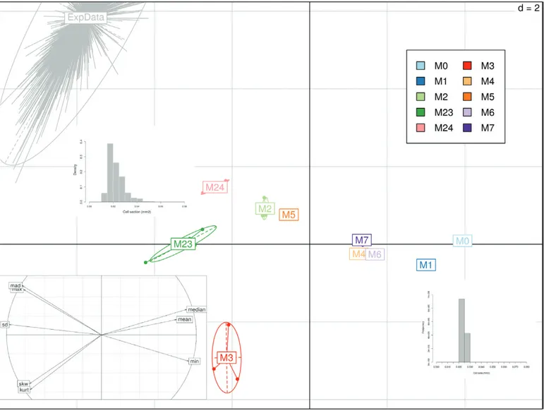 Fig. 5.  Principal component analysis (PCA) of cell-size distributions obtained for the cherry tomato genotype Cervil using the model variants M0–M24  (Table 1)