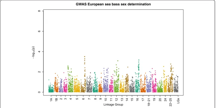 Fig. 3 Manhattan plot testing for sex determining regions in European sea bass by GWAS