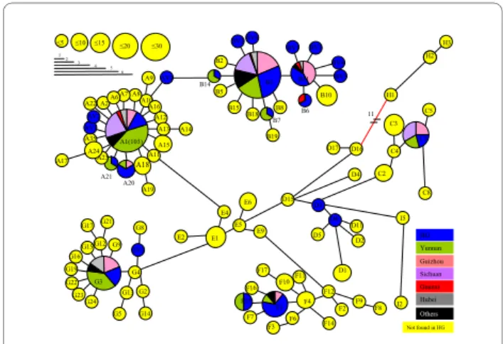 Figure 1 Minimum spanning tree of the Vietnamese mtDNA hap- hap-lotypes combined with the Chinese mtDNA from Liu et al