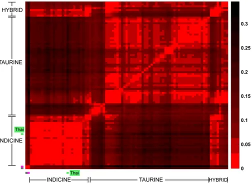 Figure 2 Heat map of pair-wise Fst. Each cell represents a group of individuals of the same breed; the heat map colors reflect Weir &amp; Cockerham Fst values as shown by the color scale bar on the right