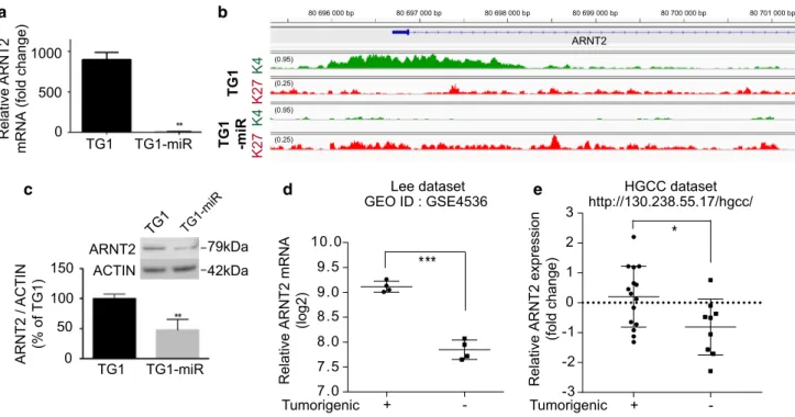 Fig. 4    Decreased ARNT2 expression is associated with non-tumori- non-tumori-genic glioblastoma cells