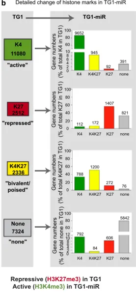 Fig. 2    Loss of tumorigenic properties is associated with rearrange- rearrange-ment of H3K4me3 and H3K27me3 marks in discrete subsets of  genes