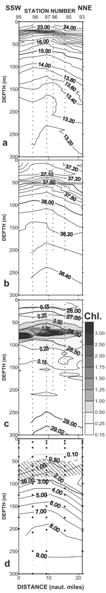 Figure 14. (opposite) Transect 93 – 99 across C: