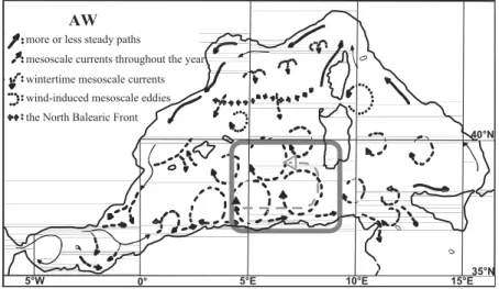 Figure 1. The general circulation of the Atlantic Water (AW) in the western Mediterranean [adapted from Millot, 1999]