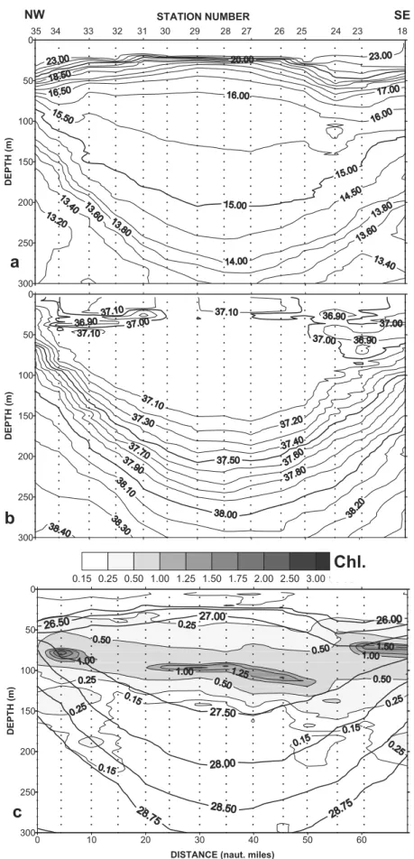 Figure 6. Transect 18 – 35 inside 96-1 (summer 1997): (a) potential temperature (C), (b) salinity, and (c) chlorophyll concentration (mg m 3 ) and potential density (thick solid line).