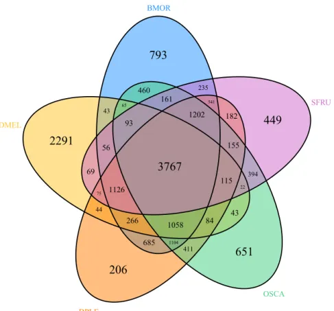 Fig. 1. Venn diagram showing all OrthoMCL ortholog groups among the MAKER-predicted O
