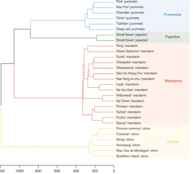 Fig. 4.  Hierarchical cluster analysis of the 29 representative accessions computed from the 43 598 diallelic SNPs.