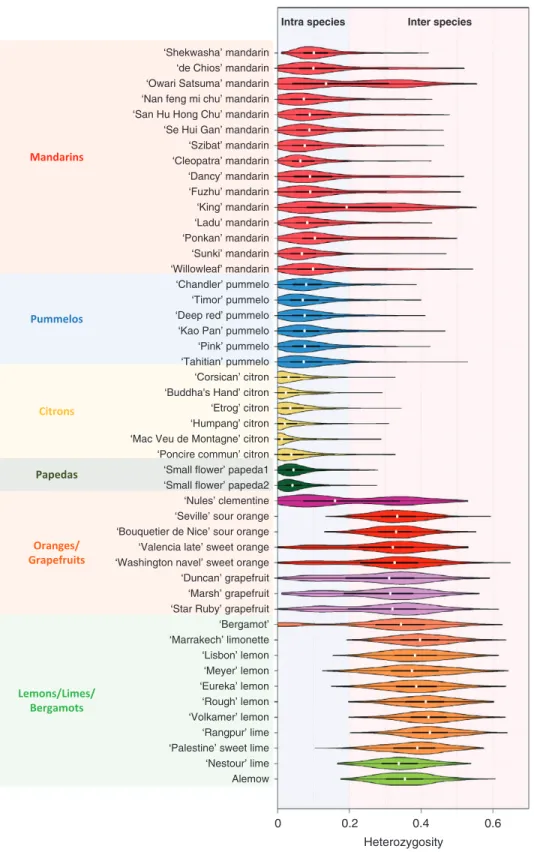 Fig. 5.  Violin plots of the heterozygosity distribution in the 48 diploid accessions computed from the average values in successive windows of 100 polymorphic  positions along the genome