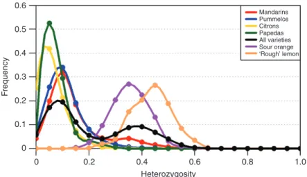 Fig. 6.  Distribution of the heterozygosity in mandarins, pummelos, citrons, papedas, all the diploid varieties, the ‘Seville’ sour orange and the ‘Rough’ lemon  computed from the average values in successive windows of 100 polymorphic positions along the 