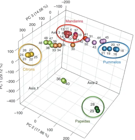 Fig. 3.  Principal component analysis (PCA) calculated from genotype data of the 48 diploid accessions corresponding to the 43 598 diallelic SNPs