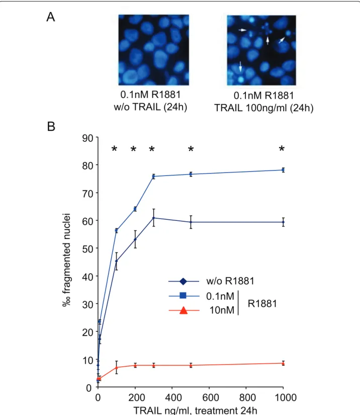 Figure 4 Androgen regulation of TRAIL-induced apoptosis in LNCaP cells. After 4 days of culture with ethanol vehicle (Ct: control), or R1881, LNCaP cells were treated with increasing TRAIL concentrations for 24 h