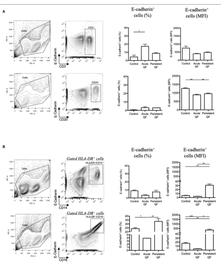 FIGURE 3 | Flow cytometry analysis of E-cadherin expression at the surface of cells from patients with acute Q fever (n = 7) and persistent Q fever (n = 4) compared to samples from healthy persons (n = 13)