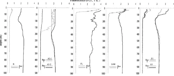 Figure 2. Profiles of temperature and Chl a as derived from in vivo fluorescence for the reference HNLC station (R-2); A3 (first and second visit), F-L, E-4W; and E stations first (E-1), and last visit (E-5).