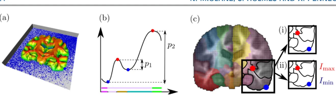 Figure 9. (a) Intensity I on a 2D brain image visualized as height: maxima are in red, minima in blue.