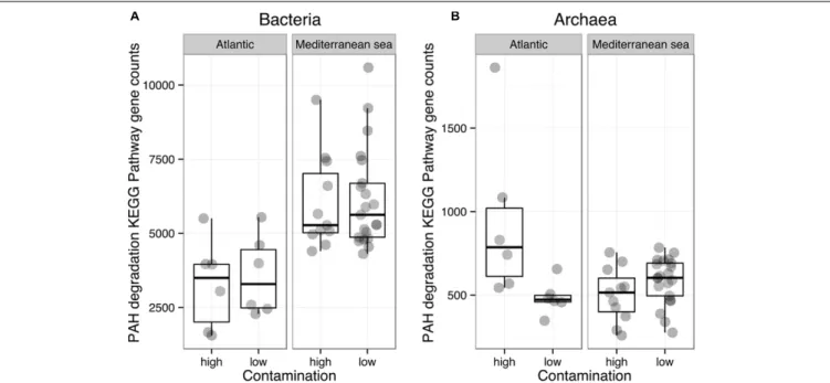 FIGURE 6 | Comparison of the mean abundances of bacterial (A) and archaeal (B) KEGG pathways related to the polyaromatic hydrocarbons (PAHs) degradation, within the Mediterranean and Atlantic geographic subsets.