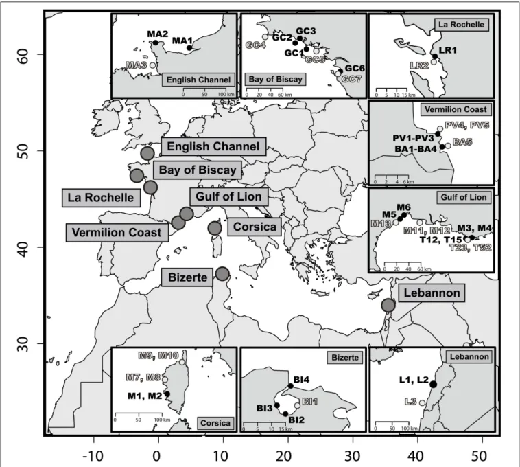 FIGURE 1 | Map of the 46 sediments sampling stations. At each location a priori non-contaminated sites are in light gray and a priori contaminated sites in black