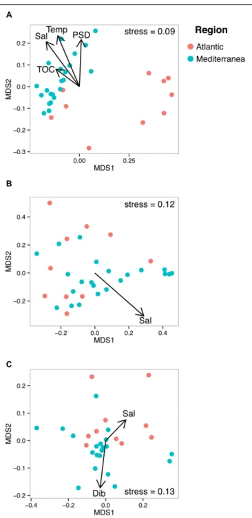 FIGURE 4 | Non-metric multidimensional scaling plots of bacterial (A), archaeal (B), and eukaryotic (C) UNIFRAC matrices