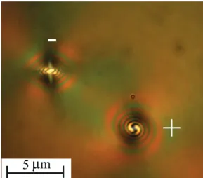 FIG. 1. Snapshot of umbilical defects of opposite charges ob- ob-served in a nematic liquid crystal layer within circular crossed polarizers (CCP)