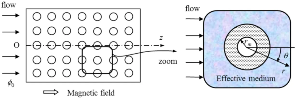 Fig. 1 (Color online). Schematic description of the capture of magnetic nanoparticles on macroscopic (left) and microscopic  (right) scales 