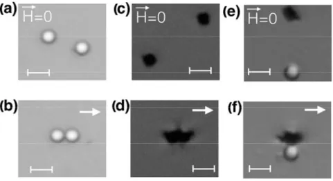 Fig. 3. Some snapshots illustrating the dynamics upon magnetic field application of pairs of microbeads  dispersed in a ferrofluid: (a-b) two diamagnetic particles (white spheres), (c-d) two soft ferromagnetic 