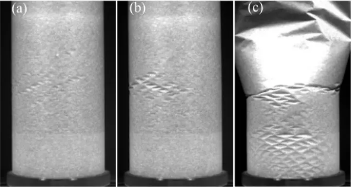 FIG. 1. Snapshots of deformation patterns observed in our experiments. Using the qualitative criteria of Sec