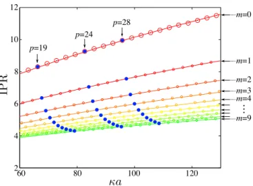 FIG. 10. Experimental setup. P: polarizer; M: mirror; λ/2:
